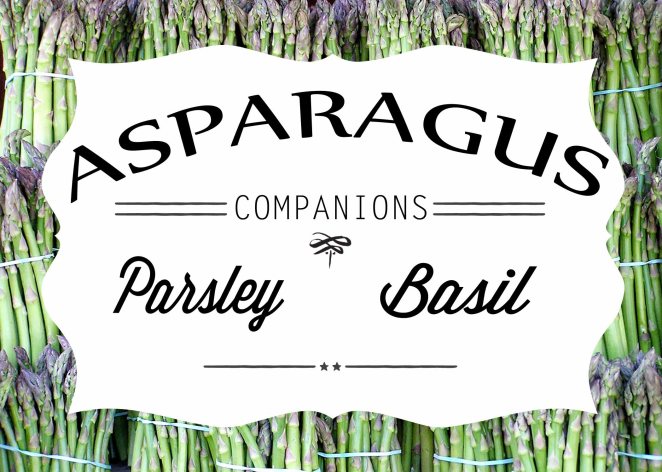 asparagus sign